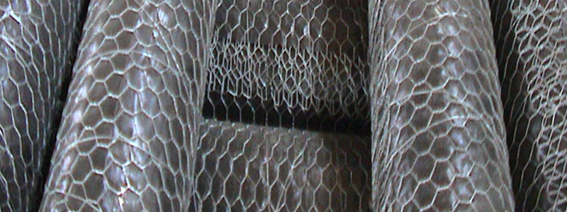  Chicken wire mesh / Hexagonal Wire Mesh 
