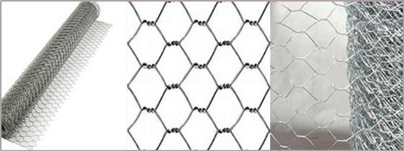 Chicken wire mesh / Hexagonal Wire Mesh